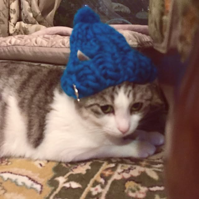 emmyyさんの実例写真