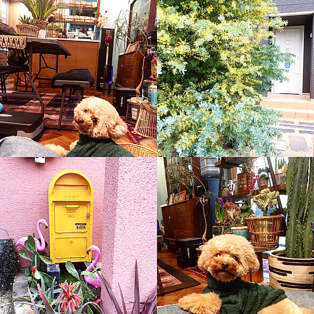 hira_muji_mihiさんの実例写真