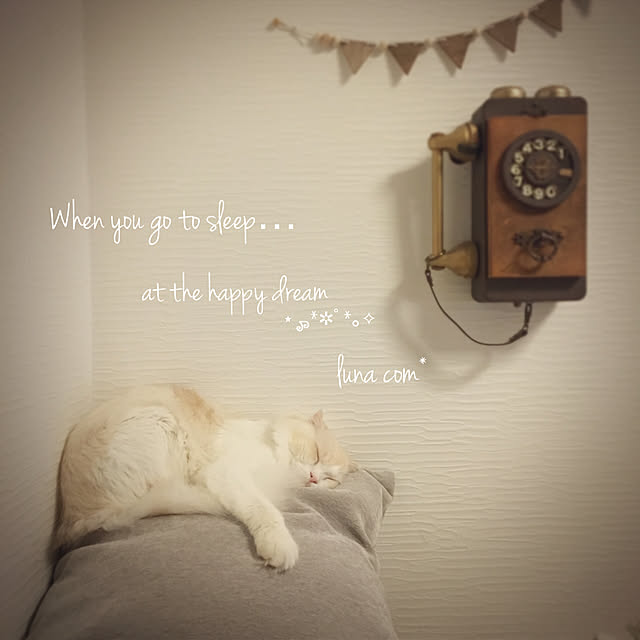 luna.comさんの実例写真