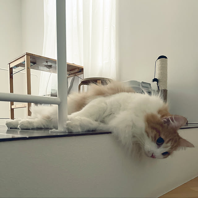w_fox0713さんの実例写真