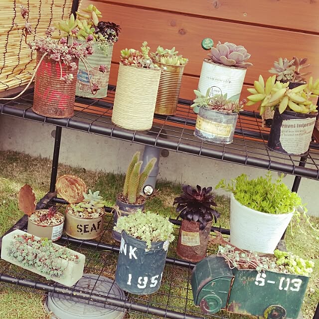 mikijunさんの実例写真