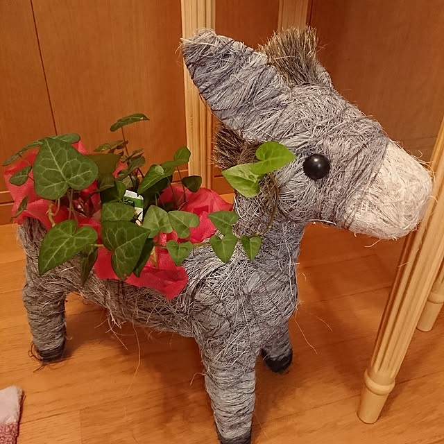 kugenchiさんの実例写真