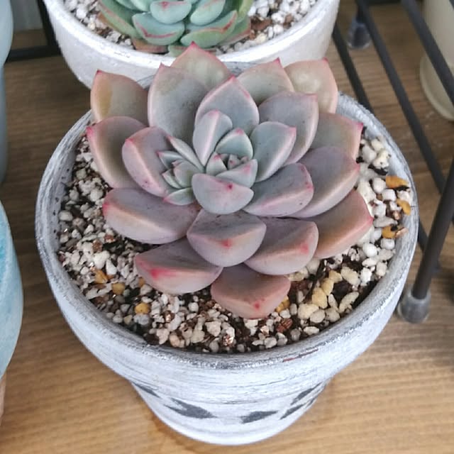 j.tさんの実例写真