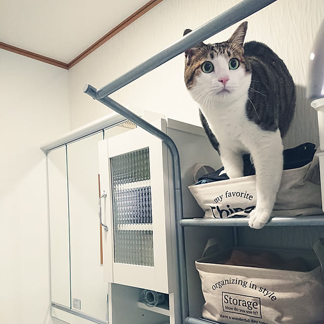 nachiさんの実例写真
