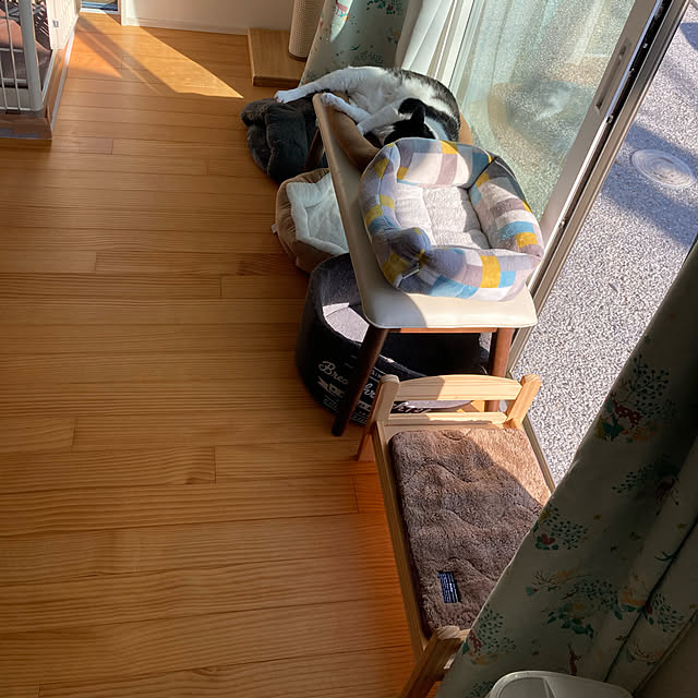 aruさんの実例写真