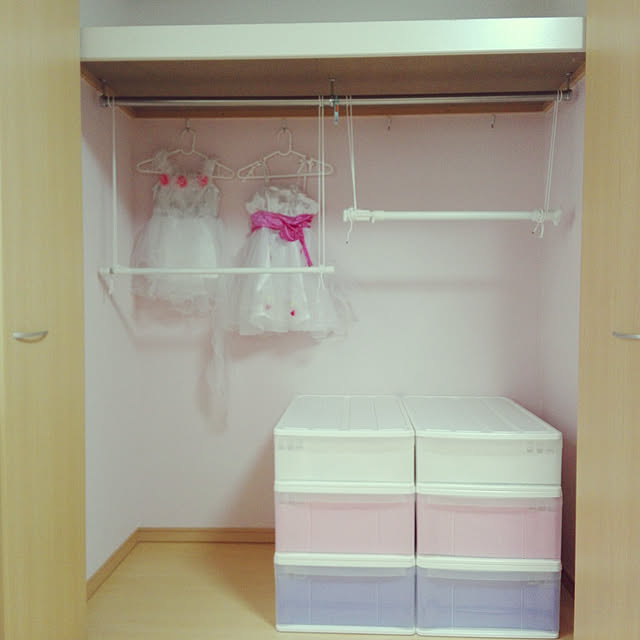 ニトリ 〔幅40×奥行55×高さ20cm〕セレスFD クローゼットケース(S ニトリ 〔幅40×奥行55×高さ20cm〕セレスFD クローゼットケース(S