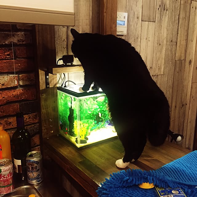 Nawさんの実例写真