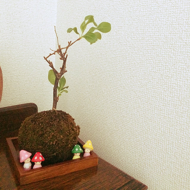 tomonon0812さんの実例写真