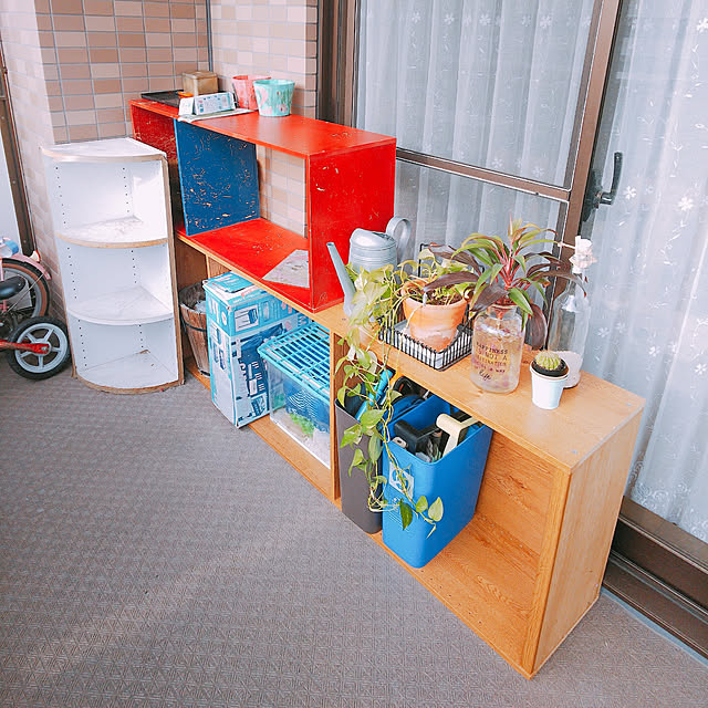 Shochanさんの実例写真