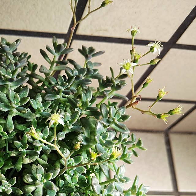 katさんの部屋