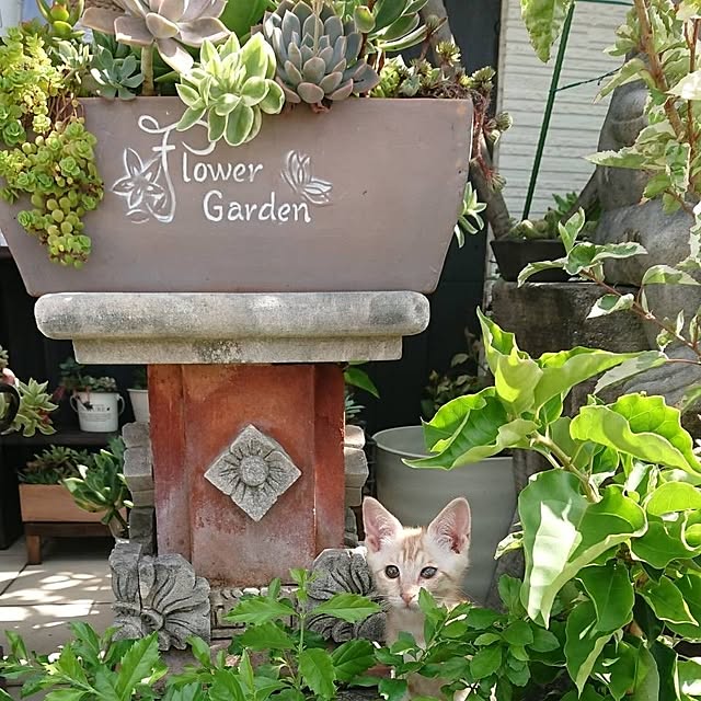 Maamiさんの実例写真