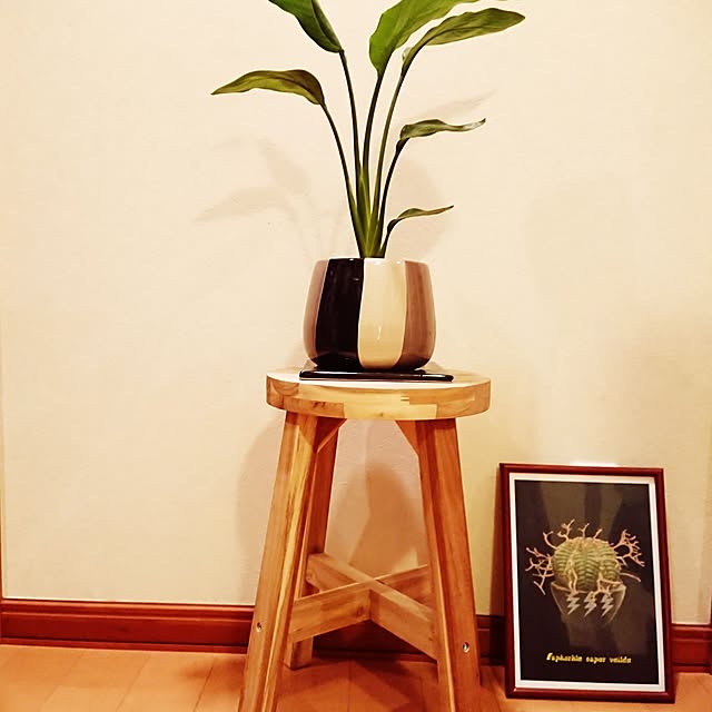 ot-gardenさんの部屋