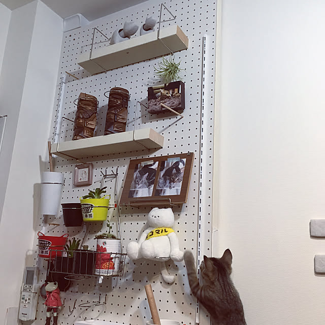 mikomaruさんの実例写真