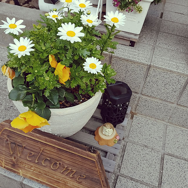 nzmさんの実例写真