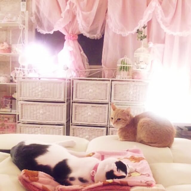 fu-ka24さんの実例写真