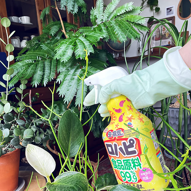 miyamiyaさんの実例写真
