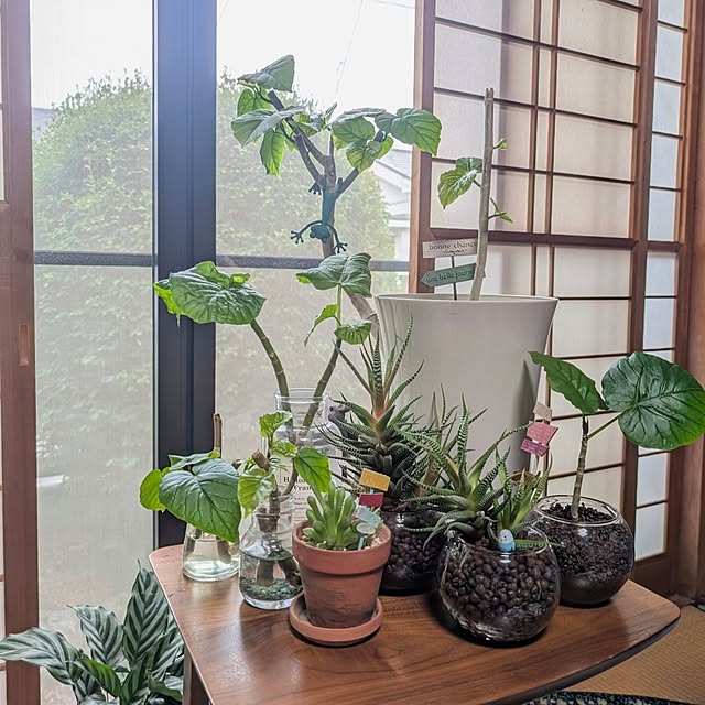 naoporonさんの実例写真