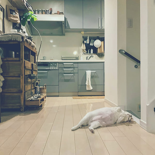 ugさんの実例写真