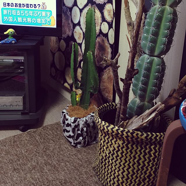 komachangさんの実例写真