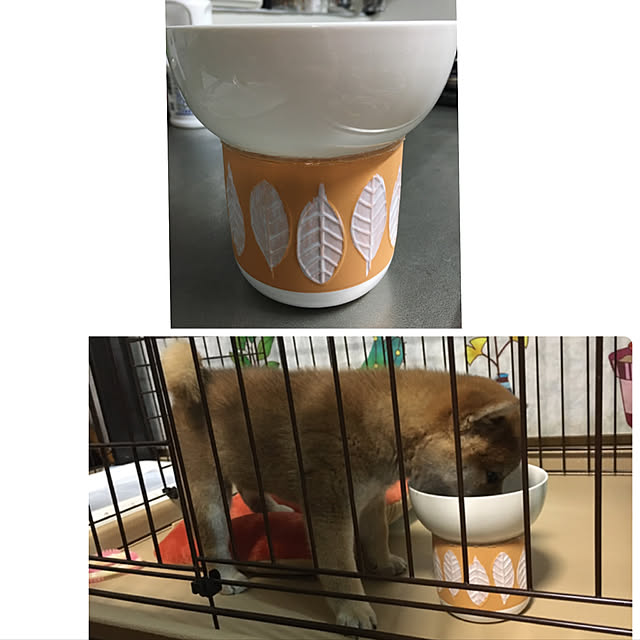 luckyさんの実例写真