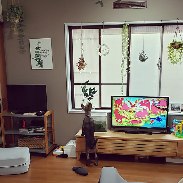 road-child0308さんの実例写真