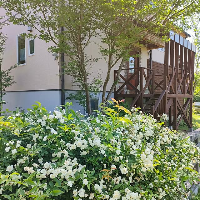 ai.happyplaceさんの実例写真