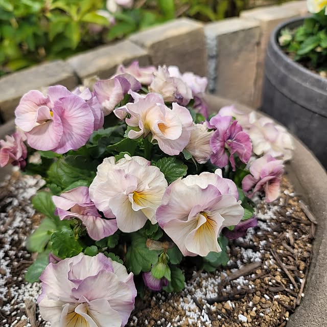 VIORAさんの実例写真