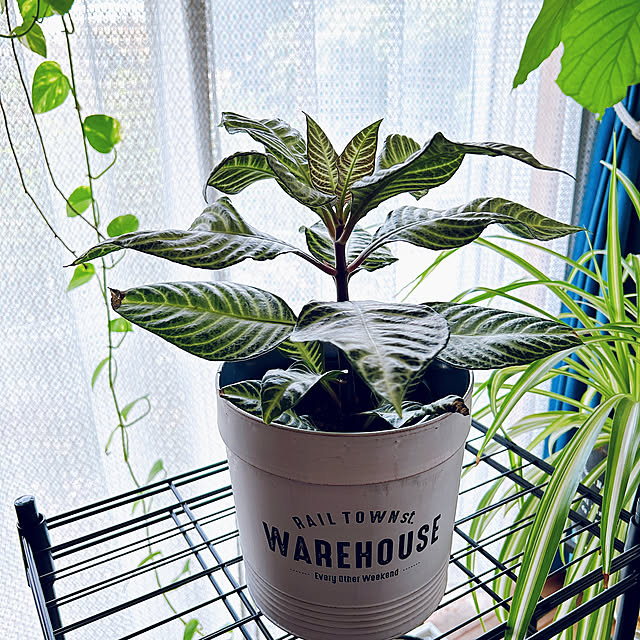 haruさんの部屋