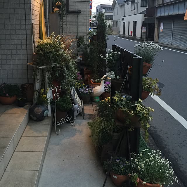 Kazukoさんの実例写真