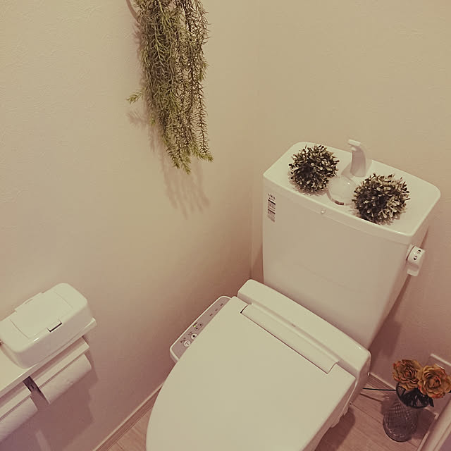 chiakiさんの実例写真