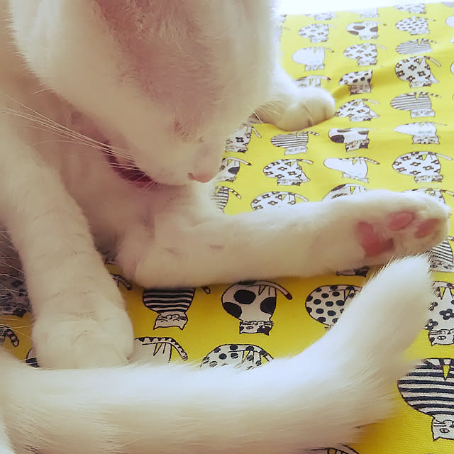 Miki1010さんの実例写真