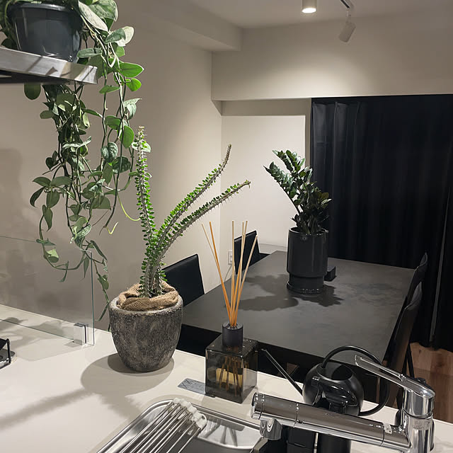 Motokiさんの部屋