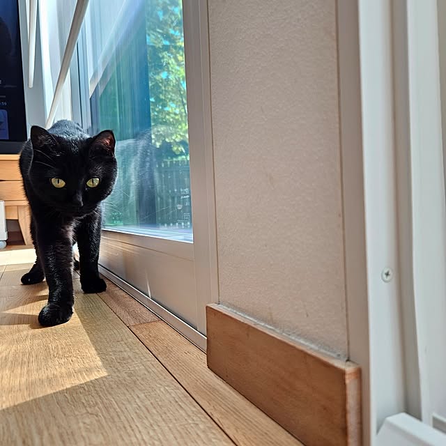 koyurizuさんの部屋