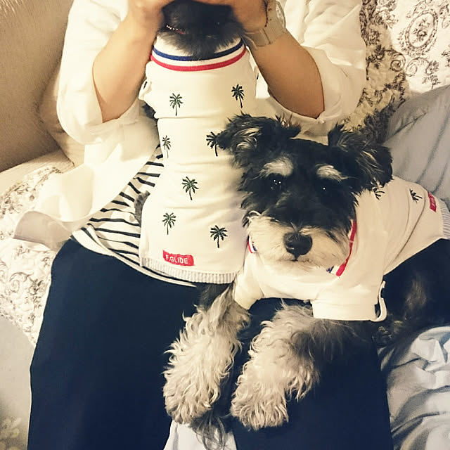 asaさんの実例写真