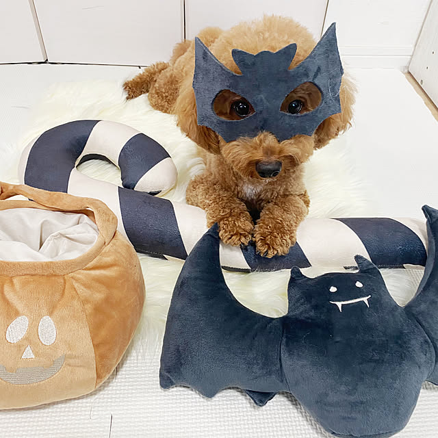 meronkunさんの実例写真