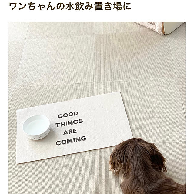 choco-curiさんの実例写真