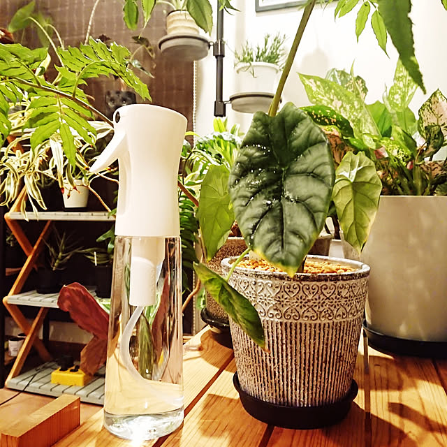 ot-gardenさんの実例写真