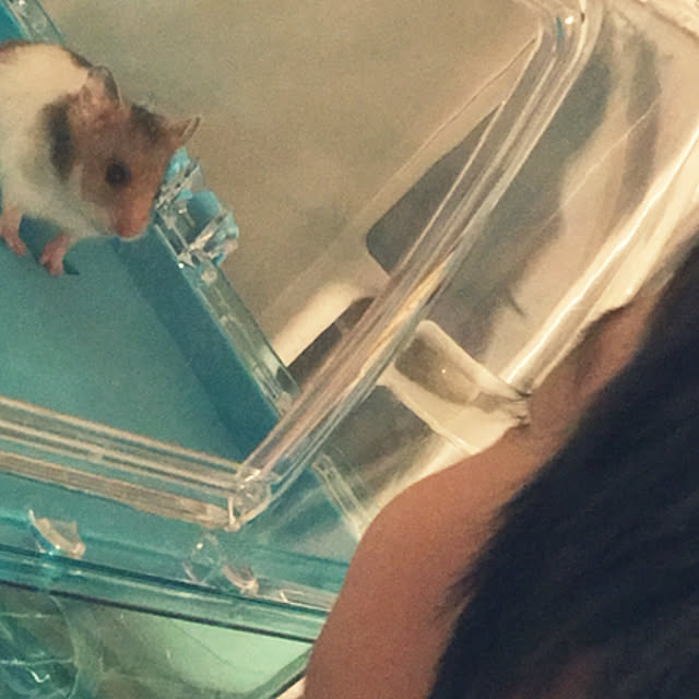ohanaさんの実例写真