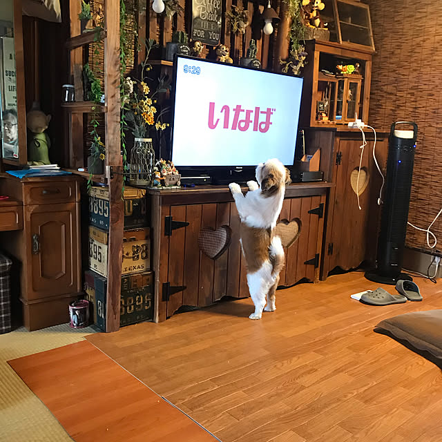 Miyokoさんの実例写真