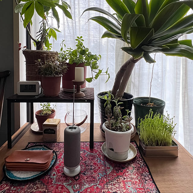 ranranさんの実例写真