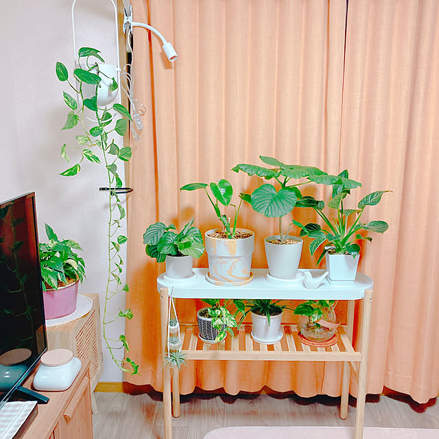 yuyuさんの部屋