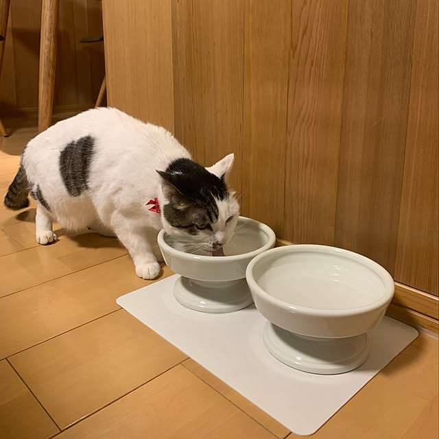 mieさんの実例写真