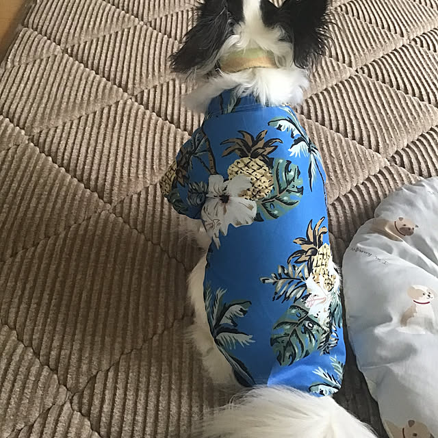 sakuさんの部屋