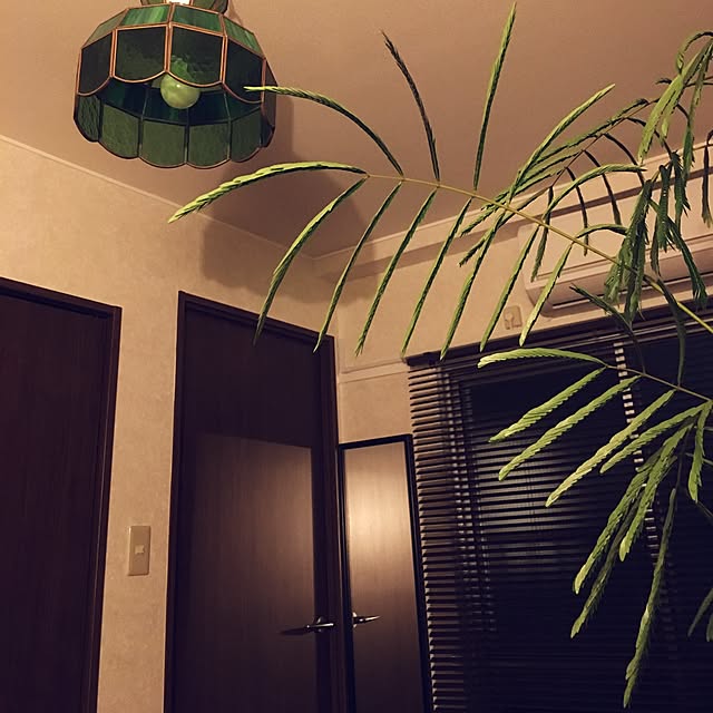 SEIGOさんの実例写真