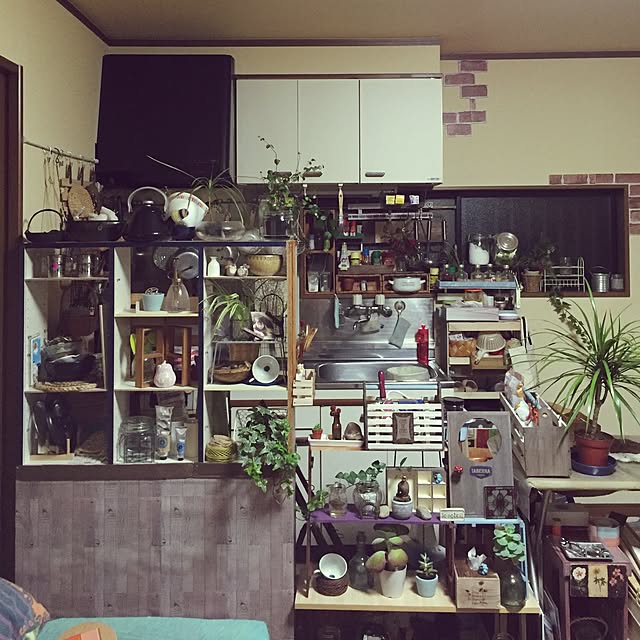Norikoさんの実例写真