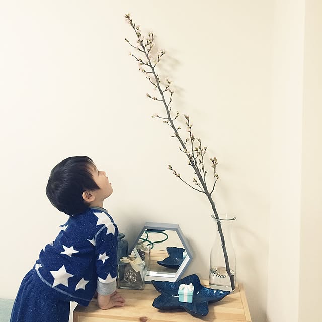 shooonさんの実例写真