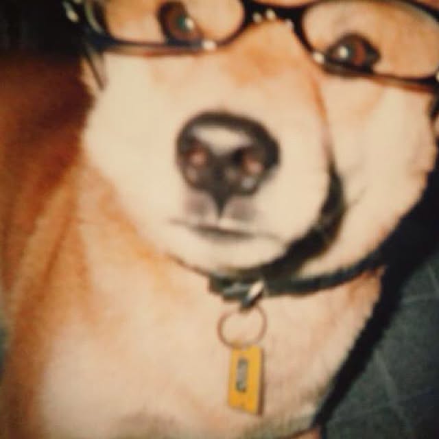 yukiさんの実例写真