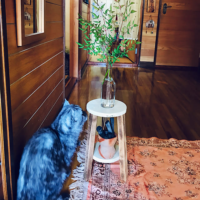 Marinさんの実例写真