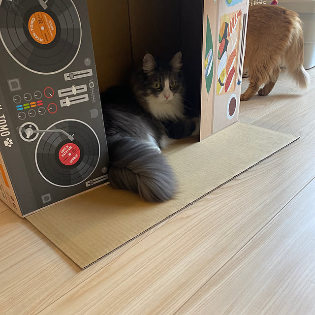 momongaさんの部屋
