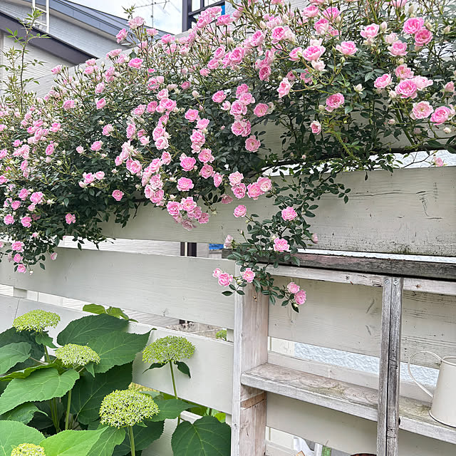 kotoriさんの部屋